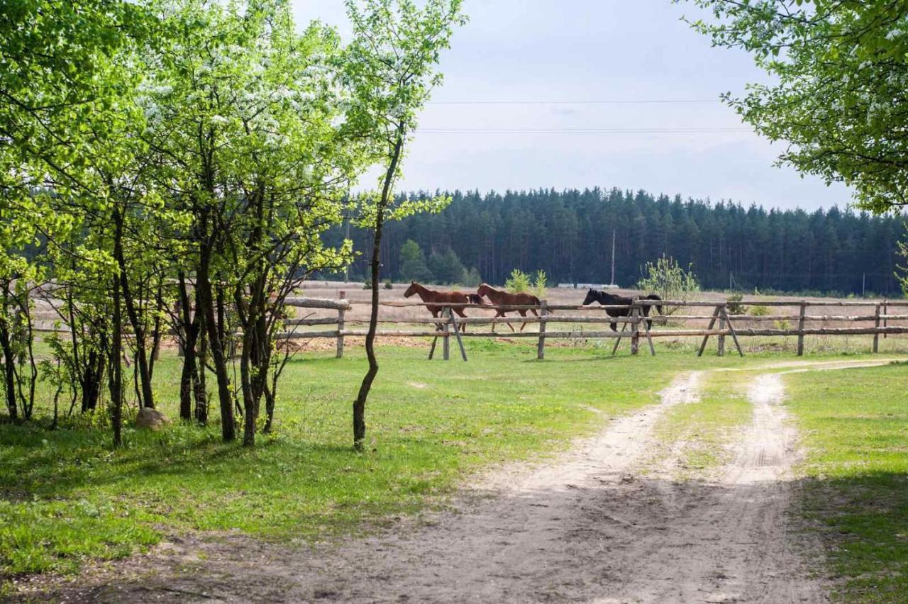 Eco Dom V Lesu Pensionat Bila Krynytsia Exteriör bild