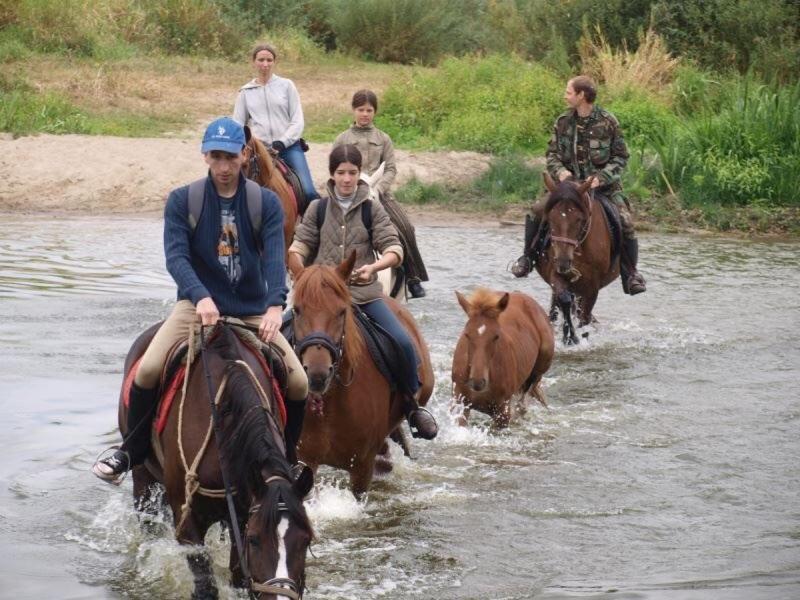 Eco Dom V Lesu Pensionat Bila Krynytsia Exteriör bild